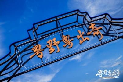 2021全新一代奇骏华南区广州上市会-活动基本信息参考2715.png