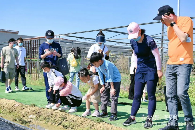 春风绿野，在星间  梅赛德斯-奔驰星愿基金东莞鹏龙永奥社区公益基地主题活动圆满落幕148.png