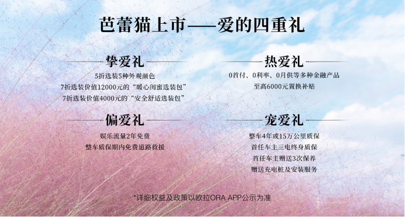 【区域通稿】欧拉芭蕾猫上市，进军时尚圈引领复古品类0712-深圳1370.png
